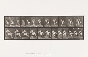 Tallerken 630. Galop; Sadel; Grå Hoppe Pandora af Eadweard Muybridge