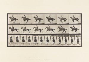 Tallerken 632. Galop; Sadel; Fuldblods Bay Hestebuket af Eadweard Muybridge