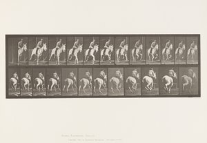 Tallerken 635. Galop; Sadel; Grå Hoppe, Pandora af Eadweard Muybridge