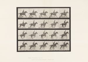 Tavle 636. Springer en Hurdle; Sadel; Forberedelse til springet af Eadweard Muybridge