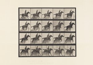 Tavle 638. Springer en Hurdle; Sadel; Bay Horse Daisy af Eadweard Muybridge