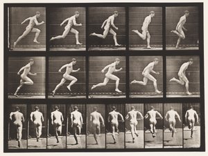 Plade 63. Kører i fuld fart. af Eadweard Muybridge