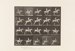Tavle 642. Springer en Hurdle; Sadel; Rytter, 105, Nøgen; Grå Hoppe, 1885 af Eadweard Muybridge