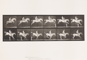 Plade 643. Hoppe en hække; Bareback; Rydning og landing; af Eadweard Muybridge