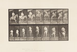 Plade 645. Hoppe en hæk; Sadel; Rydning og landing af Eadweard Muybridge