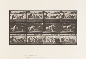Tavle 651.A, Klokkering; B, Vippebræt; C, Militærøvelse af Eadweard Muybridge