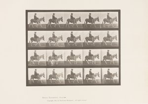 Tavle 666. Ass; Gåture; Sadel; En pige, der rider, Zoo af Eadweard Muybridge