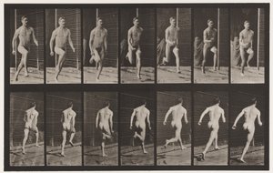 Plade 66. Løbende af Eadweard Muybridge
