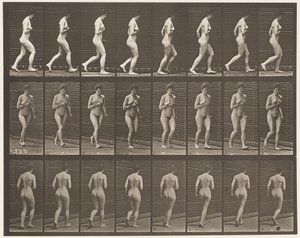 Tavle 70. Løbende., 1872-1885 af Eadweard Muybridge