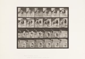 Tallerken 711. Hunde; To Racing; A, B; Racing Hounds, Ike & Maggie af Eadweard Muybridge