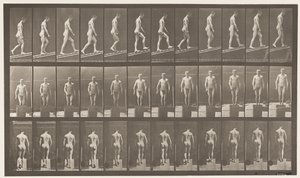Plade 74. Stigende hældning, vinkel 1 i 4 af Eadweard Muybridge
