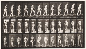 Plade 77. Stigende Hældning af Eadweard Muybridge