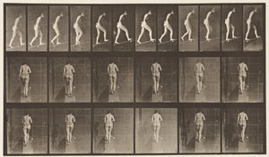Plade 79. Stigende Hældning af Eadweard Muybridge