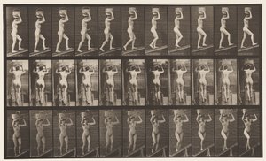 Plade 80. Stigende Hældning af Eadweard Muybridge