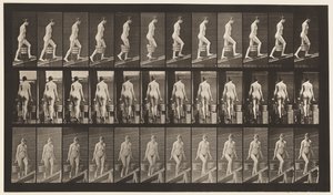 Plade 81. Stigende Hældning. af Eadweard Muybridge