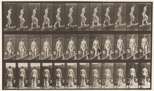Plade 82. Stigende hældning, spand vand i hver hånd af Eadweard Muybridge