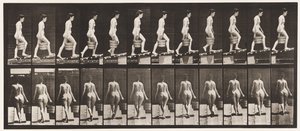 Plade 83. Stigende hældning, spand vand i højre hånd af Eadweard Muybridge