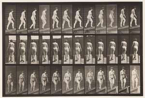 Plade 86. Stigende Hældning af Eadweard Muybridge