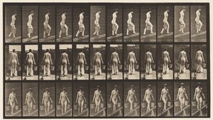 Plade 87. Stigende hældning, spand vand i hver hånd af Eadweard Muybridge