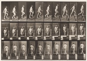 Tavle 90. Opstigende Trapper af Eadweard Muybridge