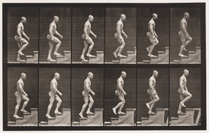Tavle 91. Opstigende Trapper af Eadweard Muybridge