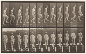 Tavle 92. Opstigende Trapper af Eadweard Muybridge