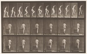 Tavle 93. Opstigende Trapper af Eadweard Muybridge