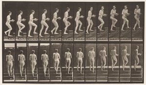 Tavle 94. Opstigende Trapper, der ser sig omkring; Bassin i hænderne af Eadweard Muybridge