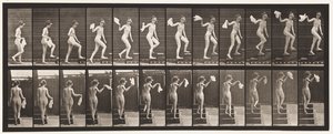Tavle 96. Opstigende Trapper, der ser sig omkring; Viftende Lommetørklæde af Eadweard Muybridge