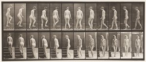 Tavle 98. Dreje- og opgangstrapper, 1872-1885 af Eadweard Muybridge