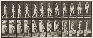 Tavle 99. Dreje- og opgangstrapper af Eadweard Muybridge