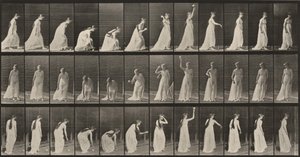 Tavle nummer 306. At samle en bold op og kaste den af Eadweard Muybridge