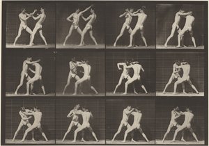 Nummerplade 340. Boksning, åben hånd (sko),1887 (foto) af Eadweard Muybridge