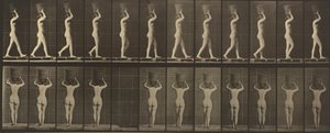 Plade nummer 34. Går og bærer en 15-lb. kurv på hovedet, hænderne løftet,1887 (foto) af Eadweard Muybridge
