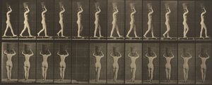 Plade nummer 34. Går og bærer en 15-lb. kurv på hovedet, hænderne løftet af Eadweard Muybridge