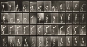 Tavle nummer 488. A: Græstennis. B: Håndvægte. C: Gang på hænderne. D: Gang op ad trapper af Eadweard Muybridge