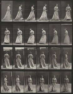 Tavle nummer 48. Gå og vende sig rundt med en buket i begge hænder af Eadweard Muybridge