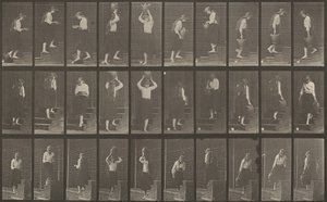 Tavle nummer 504. Op- og nedadgående trapper af Eadweard Muybridge