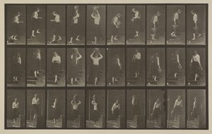 Tavle nummer 504. Op- og nedadgående trapper af Eadweard Muybridge
