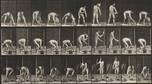 Nummerplade 506. Murerarbejde, 1887 (foto) af Eadweard Muybridge