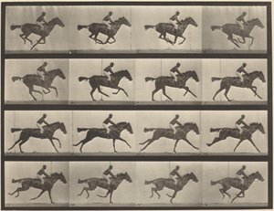 Tavle nummer 626. Galop, fuldblods brun hoppe, Annie G. af Eadweard Muybridge