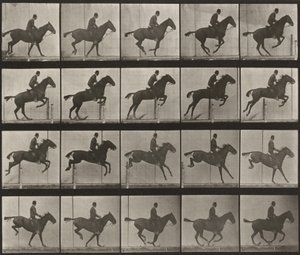 Tavle nummer 639. «Daisy» springer over en forhindring, sadlet af Eadweard Muybridge