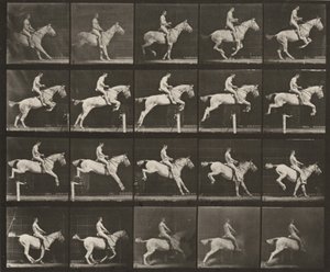 Tavle nummer 642. "Pandora" springer over en forhindring, sadlet; rytter nøgen af Eadweard Muybridge