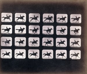 Running (Galloping) af Eadweard J. Muybridge af Eadweard Muybridge