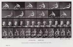 Den menneskelige figur i bevægelse: atlet, roning (s/h-billede) af Eadweard Muybridge