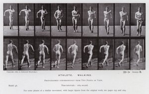 Den menneskelige figur i bevægelse: atlet, gående (s/h-billede) af Eadweard Muybridge