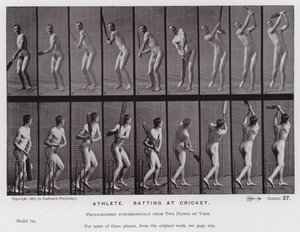 The Human Figure in Motion: Atlet, der slår i cricket (s/h-billede) af Eadweard Muybridge