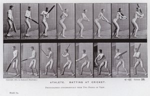 The Human Figure in Motion: Atlet, der slår i cricket (s/h-billede) af Eadweard Muybridge