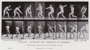 Den menneskelige figur i bevægelse: Atlet, fanger og kaster med baseball (s/h-billede) af Eadweard Muybridge