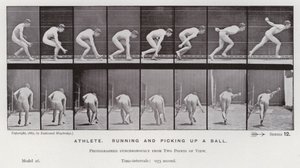 Den menneskelige figur i bevægelse: Atlet, der løber og samler en bold op (s/h-billede) af Eadweard Muybridge